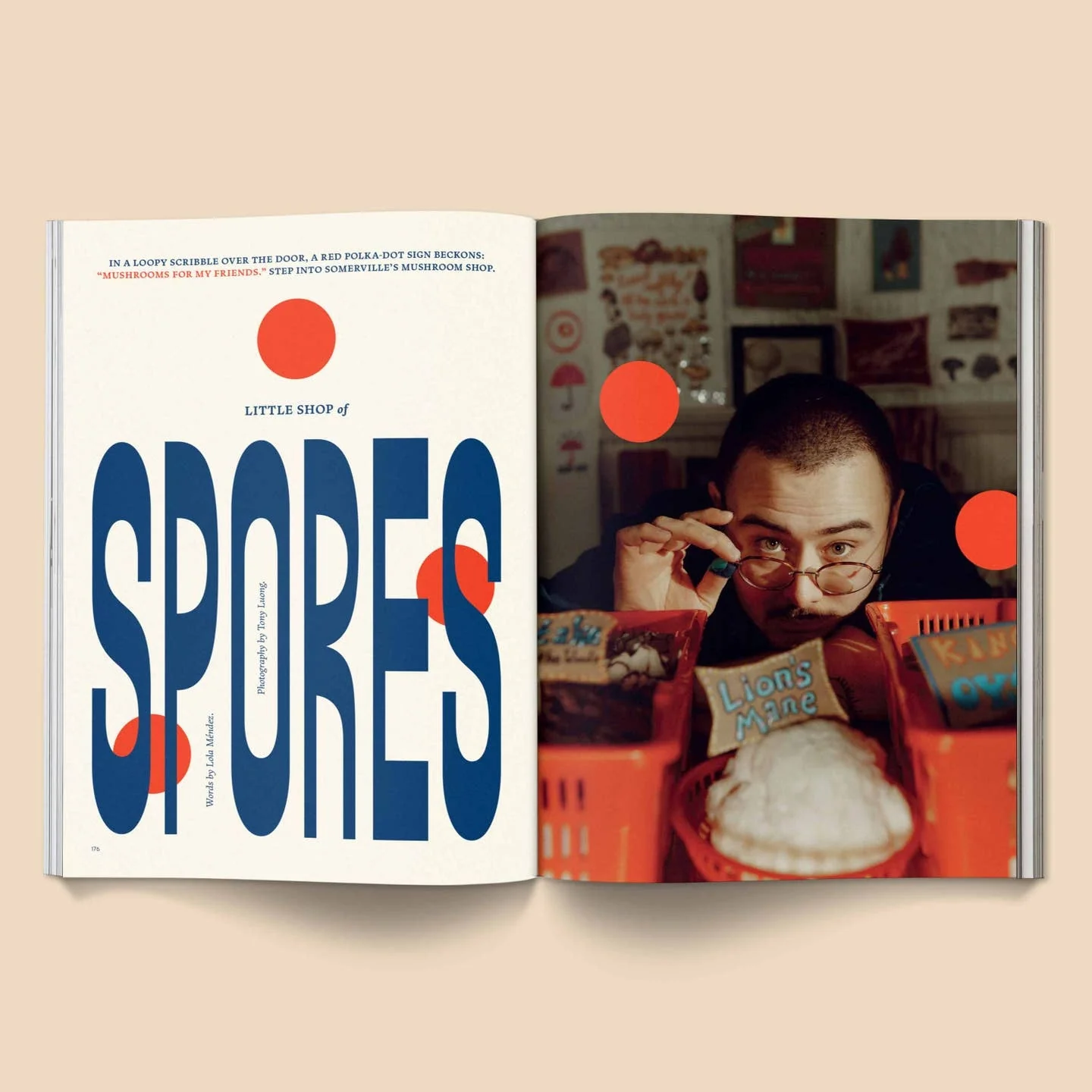 Mushroom People Magazine: Vol. 2 - Image 2