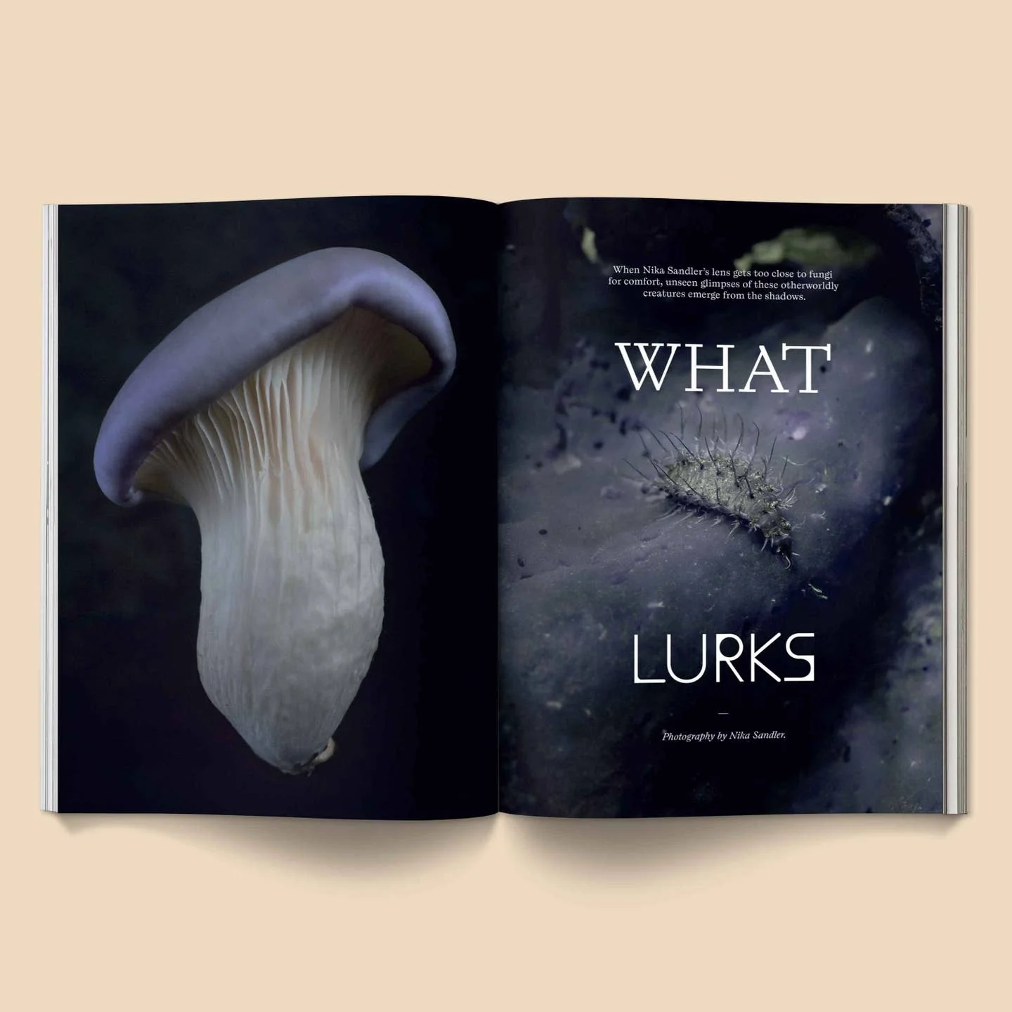 Mushroom People Magazine: Vol. 2 - Image 3