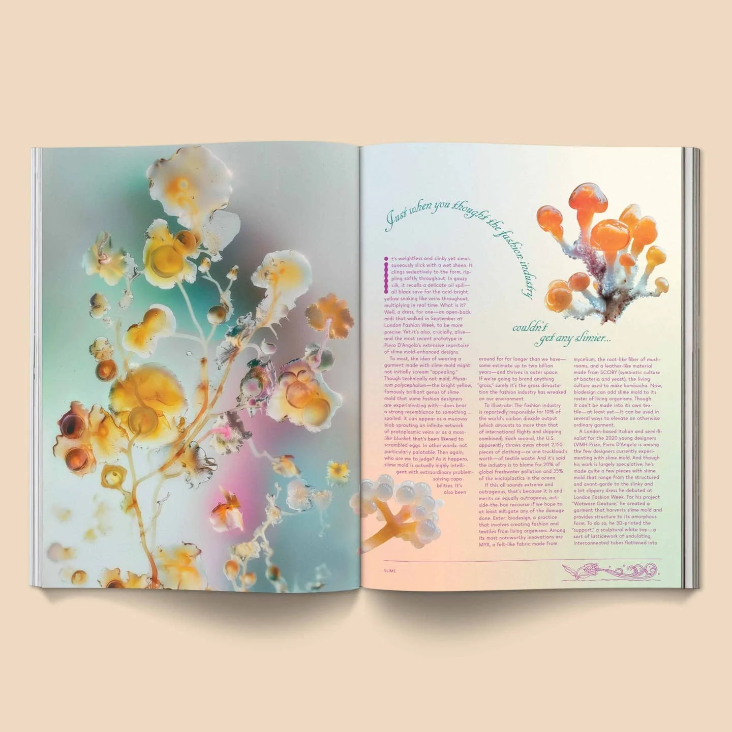 Mushroom People Magazine: Vol. 2 - Image 5