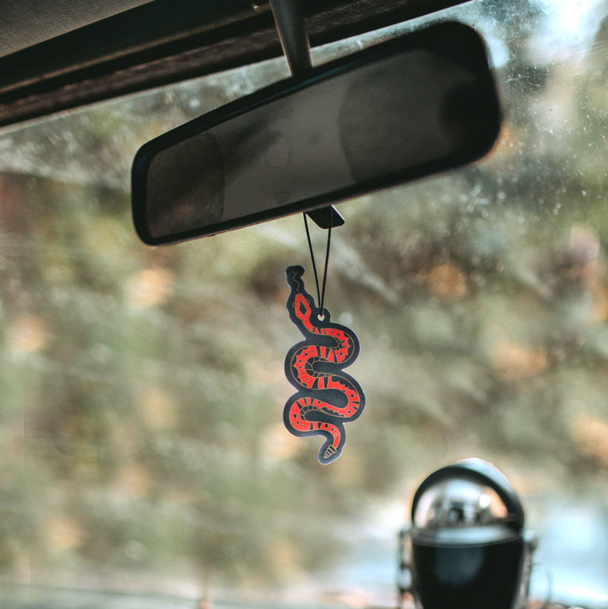 National Park Air Freshener - Image 12
