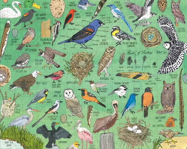 Nature Anatomy: Birds Puzzle - Image 4