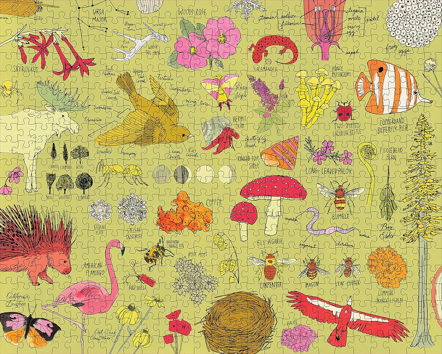 Nature Anatomy: The Puzzle - Image 2
