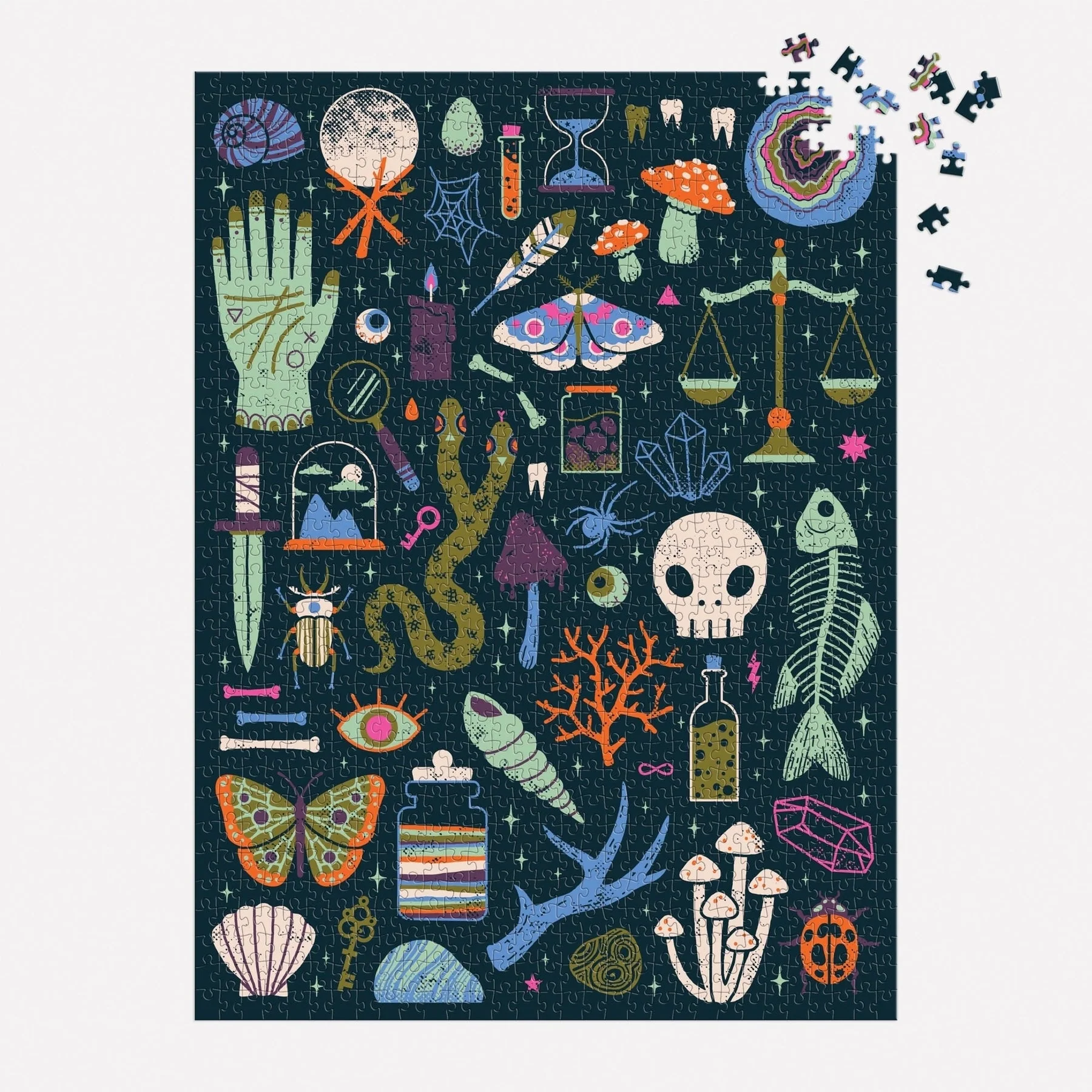 Occult & Curious Glow in the Dark Puzzle - Image 2