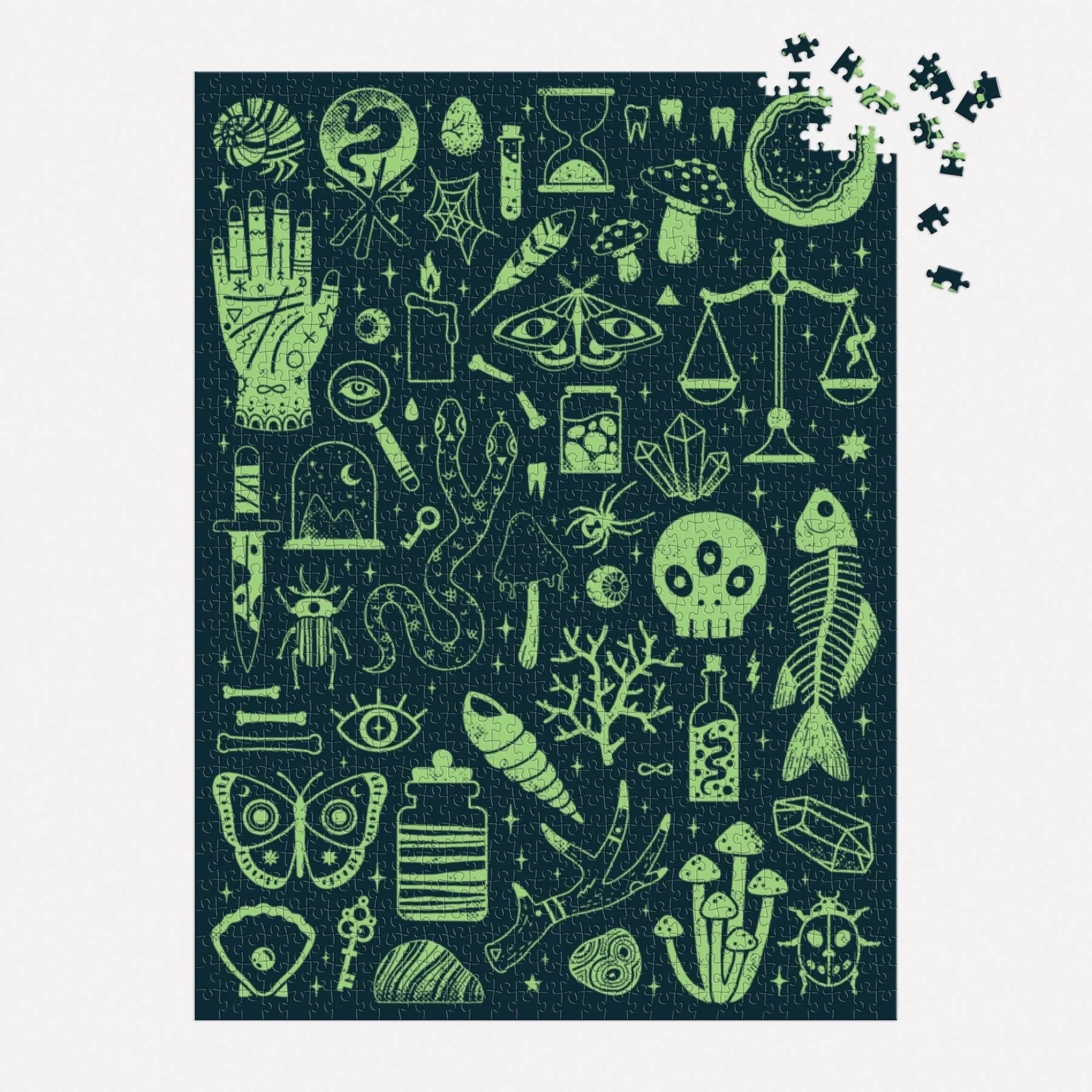 Occult & Curious Glow in the Dark Puzzle - Image 3