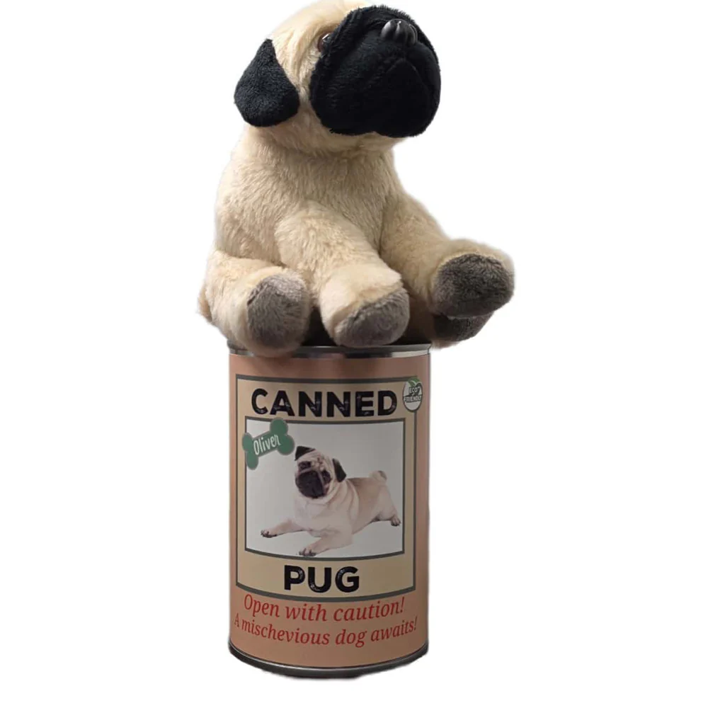 Oliver the Canned Pug - Image 5