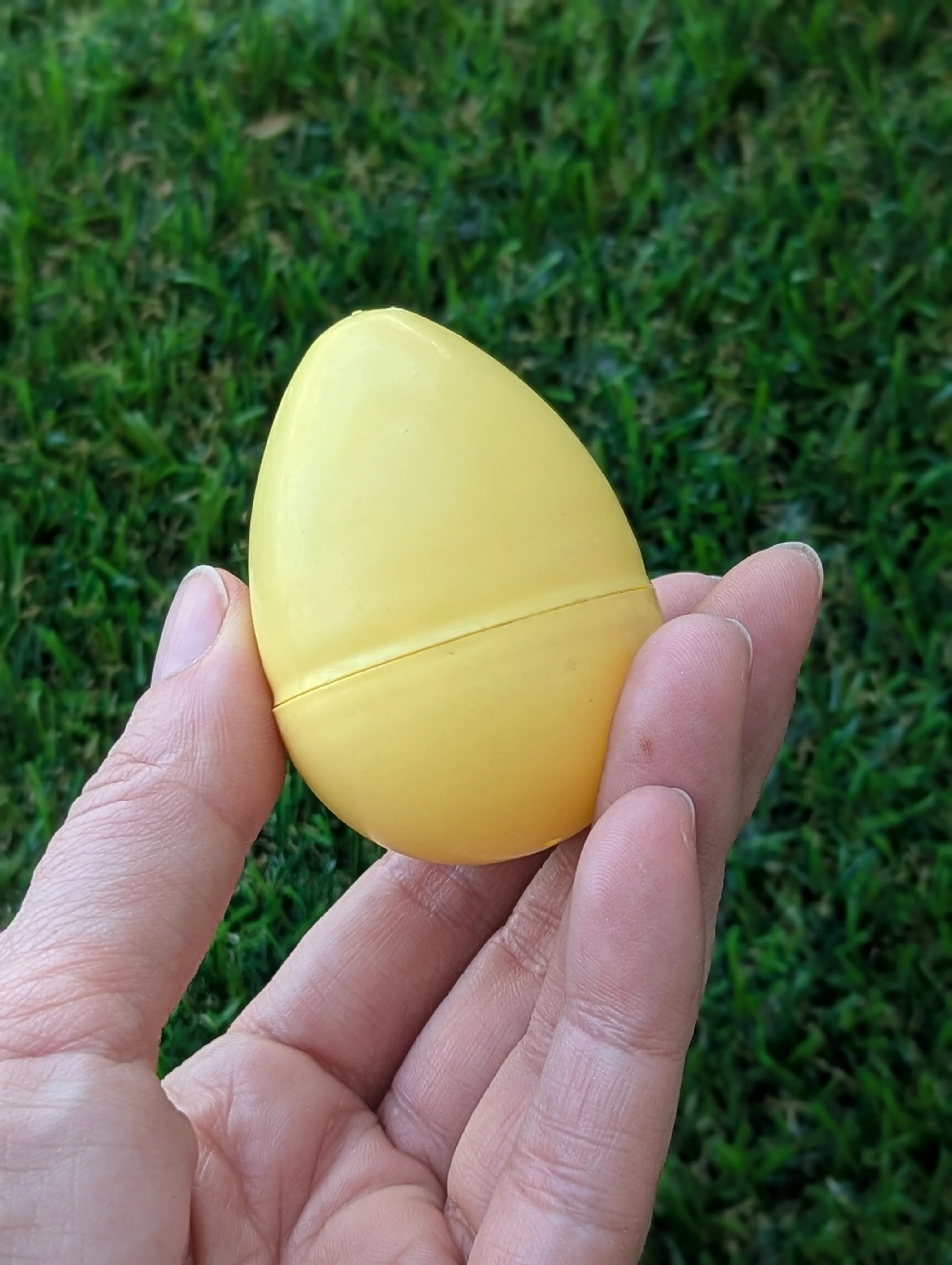 One Chicken Machine Egg - Image 2