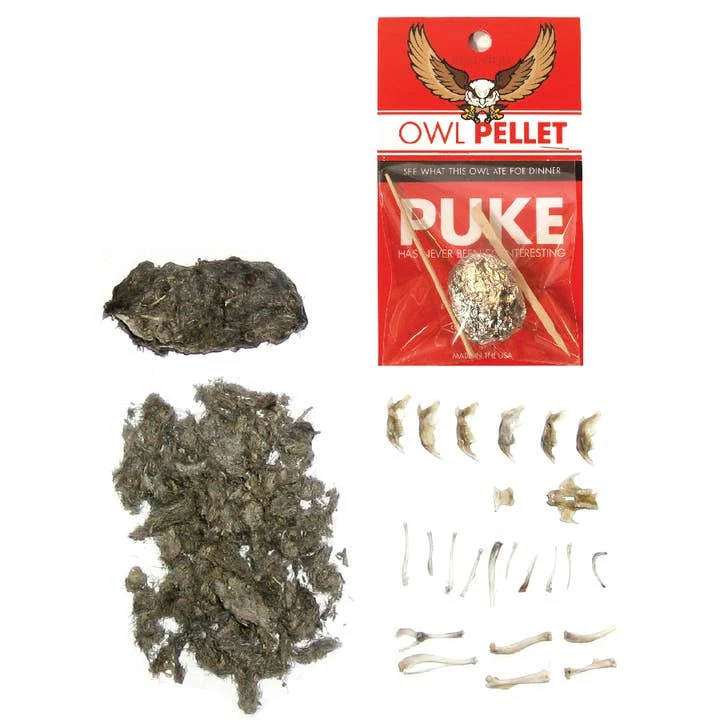 Owl Pellet - Image 2