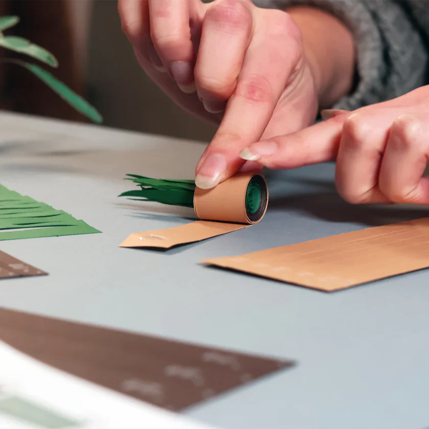 Paper Plants Kit - Image 3