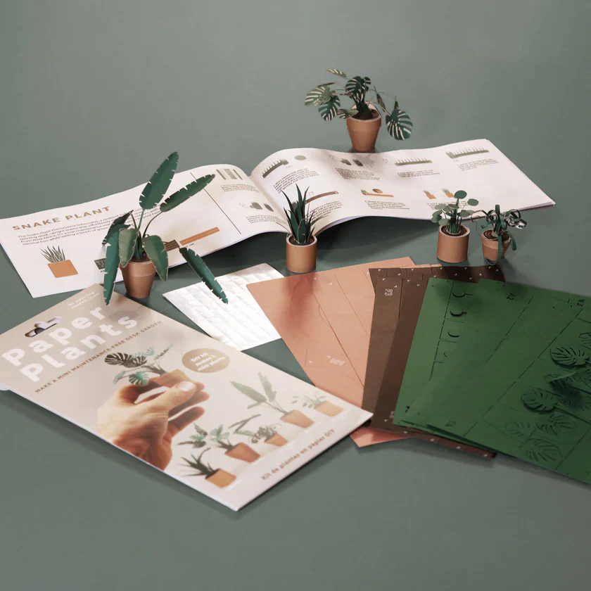 Paper Plants Kit - Image 4