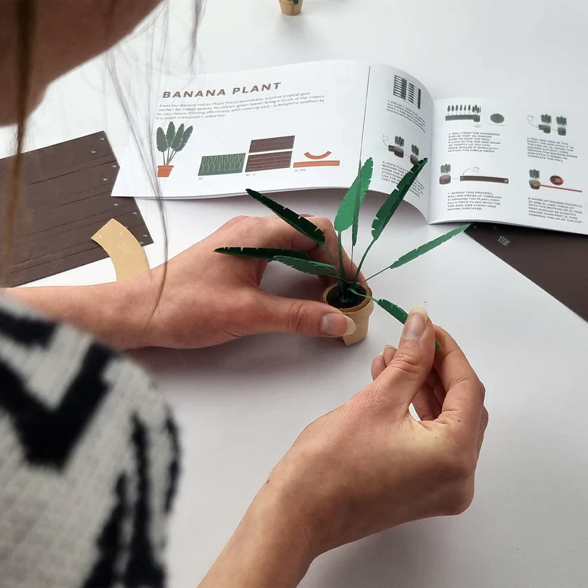 Paper Plants Kit - Image 5