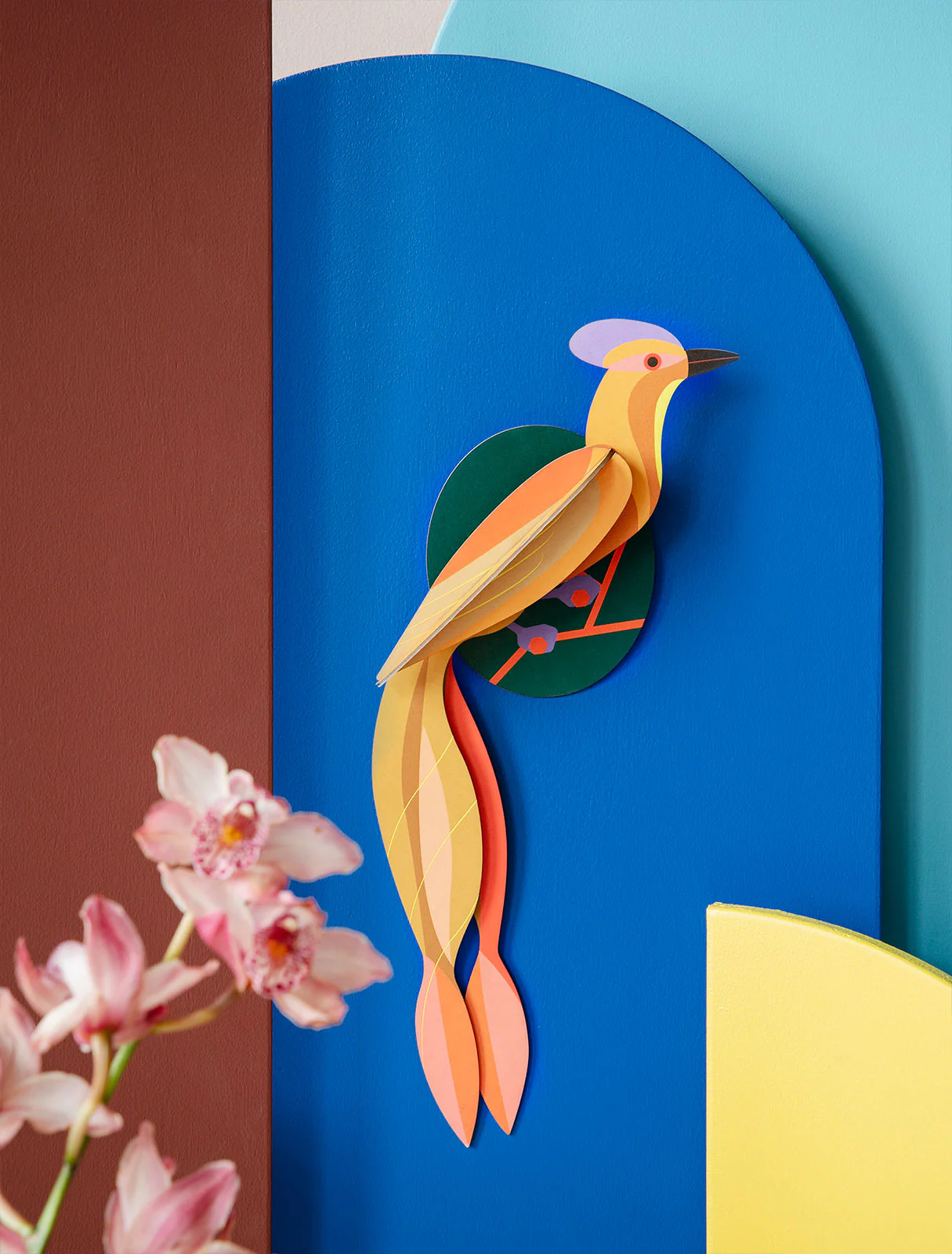 Paradise Bird - Olango - Image 2