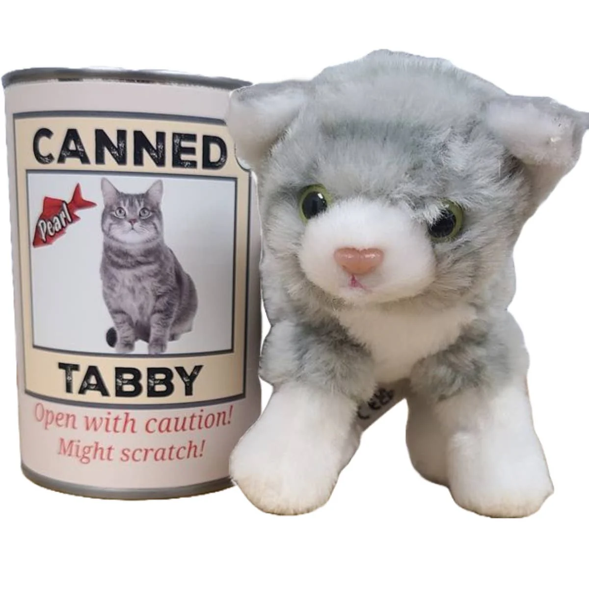 Pearl the Canned Grey Tabby Cat