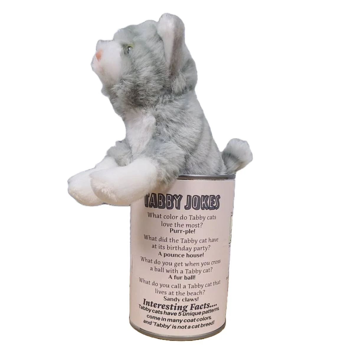 Pearl the Canned Grey Tabby Cat - Image 3