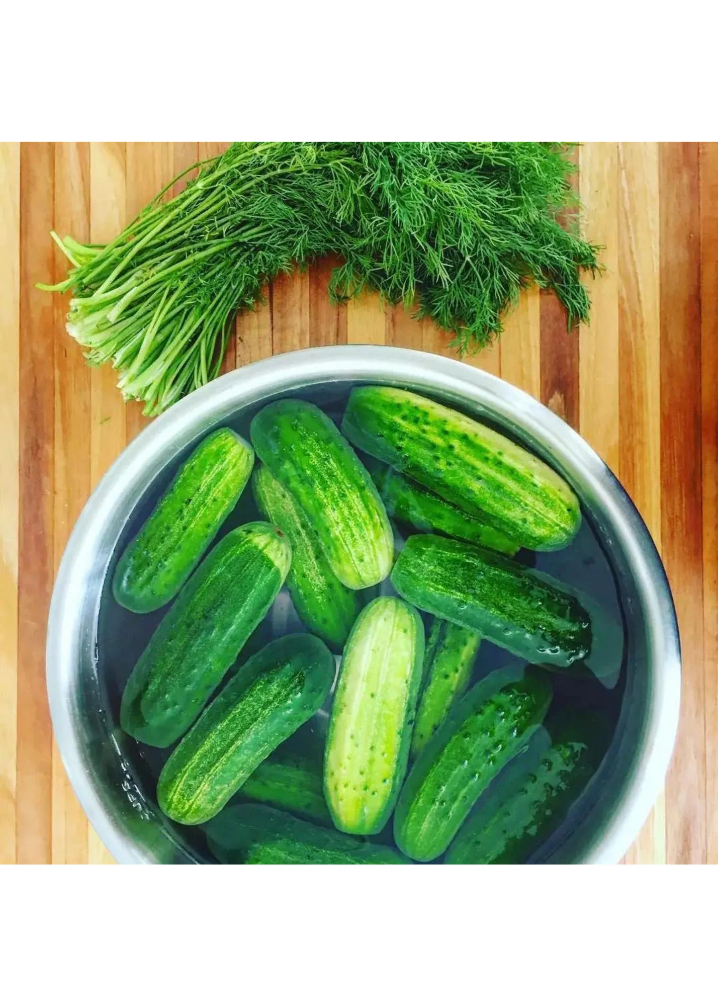Pickle Making Kit - Image 4