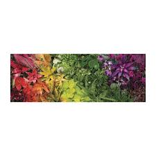Plant Life Panoramic Puzzle - Image 2
