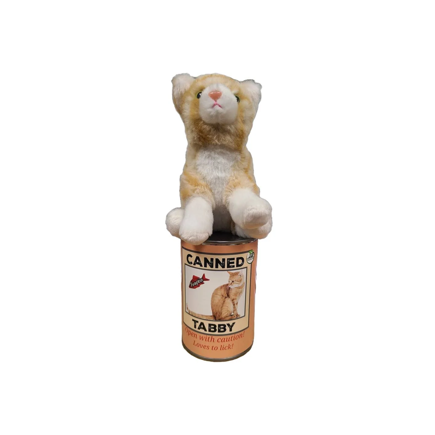 Pumpkin the Canned Orange Tabby Cat - Image 2