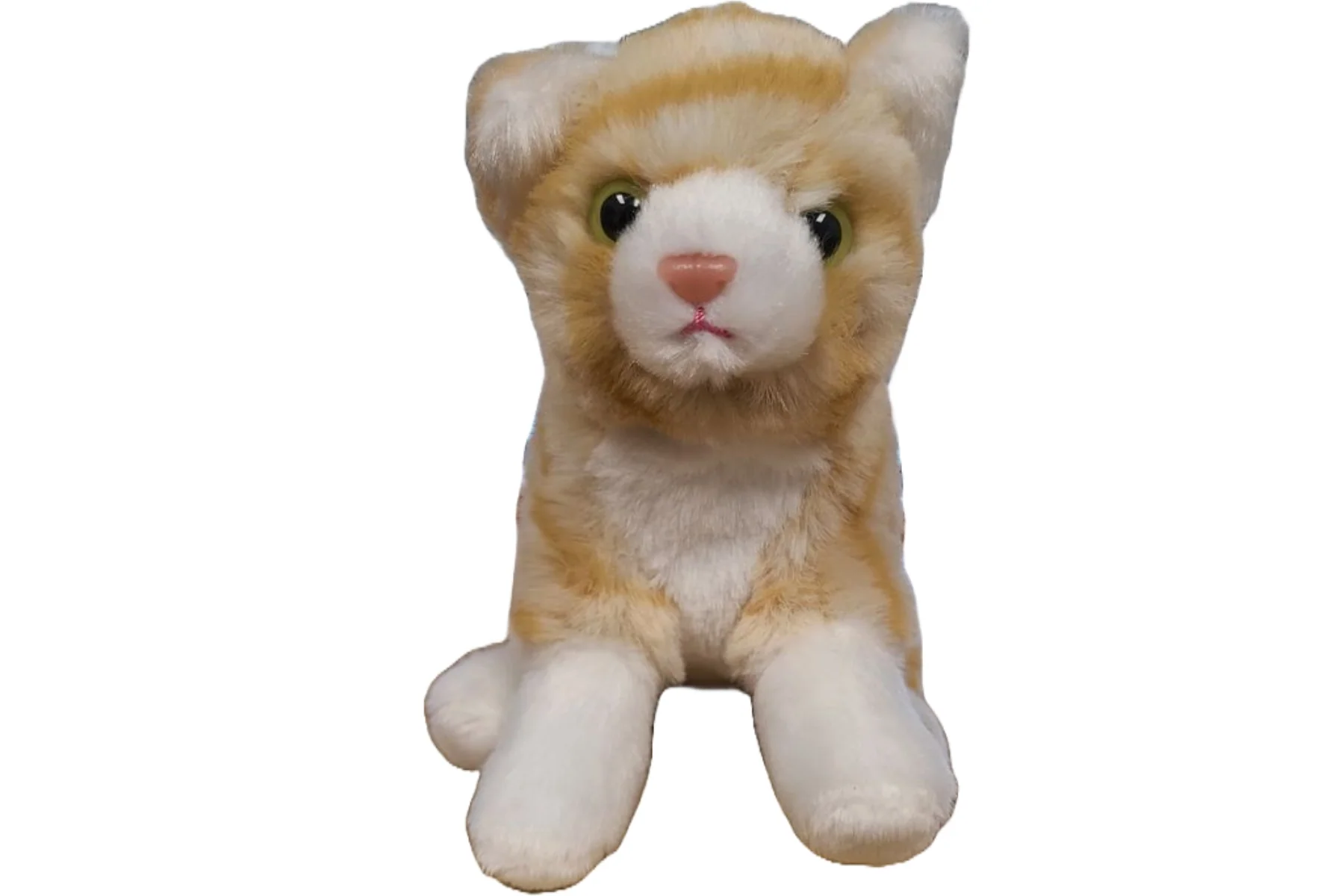 Pumpkin the Canned Orange Tabby Cat - Image 3
