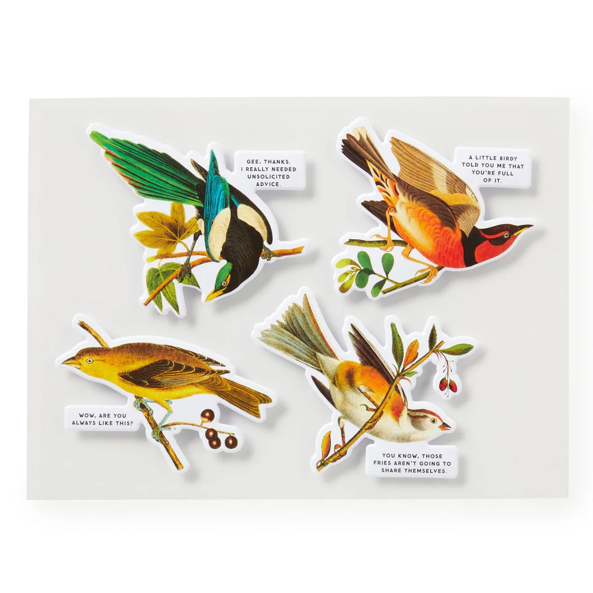 Salty Birds Puzzle - Image 5