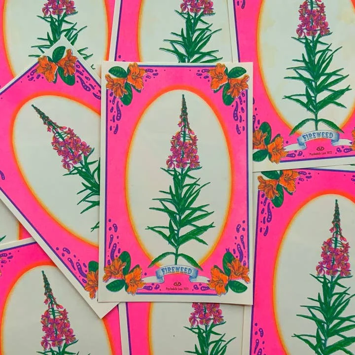 Small Fireweed Risograph Print