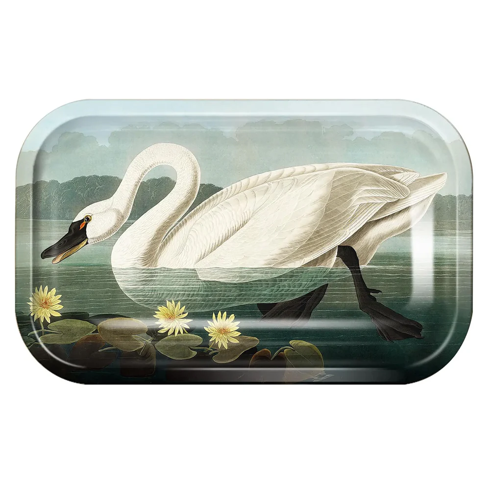 Small Metal Audubon Swan Catchall Tray