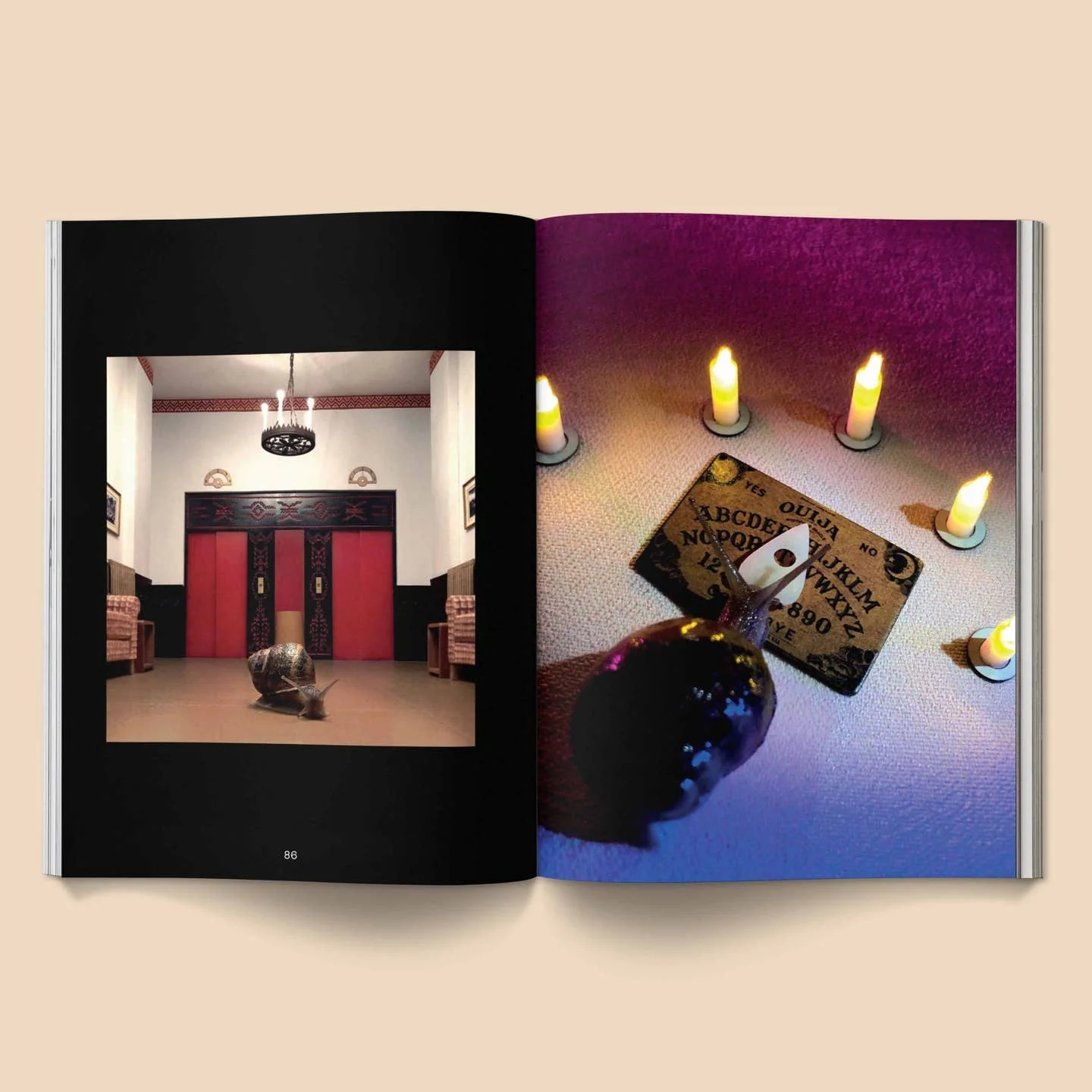 Snail World 2: Welcome to Slimetown Coffee Table Book - Image 4