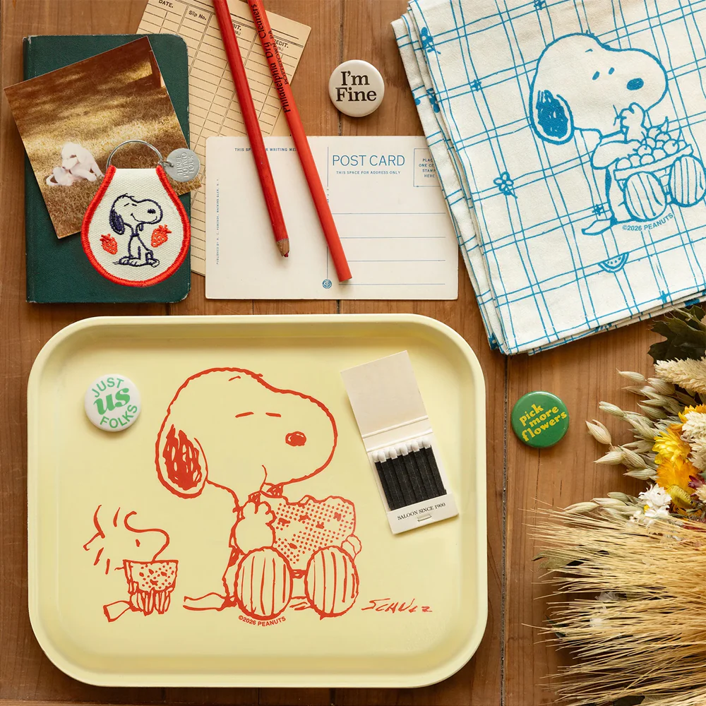 Snoopy & Woodstock Watermelon Tray - Image 3