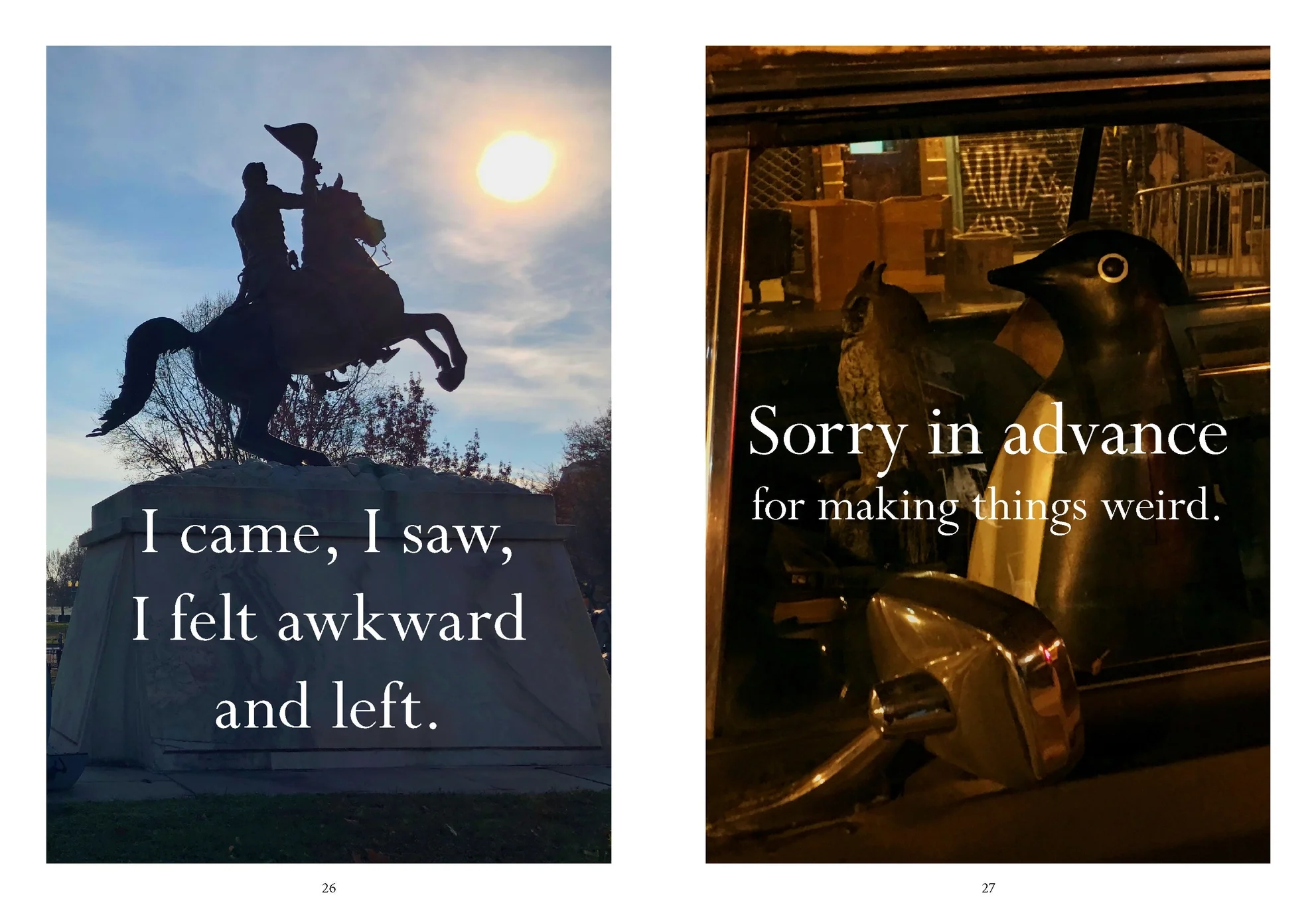 Sorry in Advance for Making Things Weird.: A Disappointing Affirmations Collection - Image 3