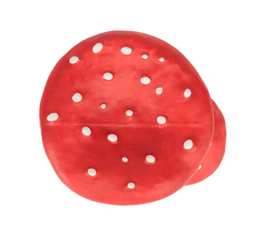 Spot The Mushroom - Image 3