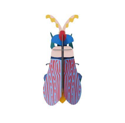 Striped Wing Beetle