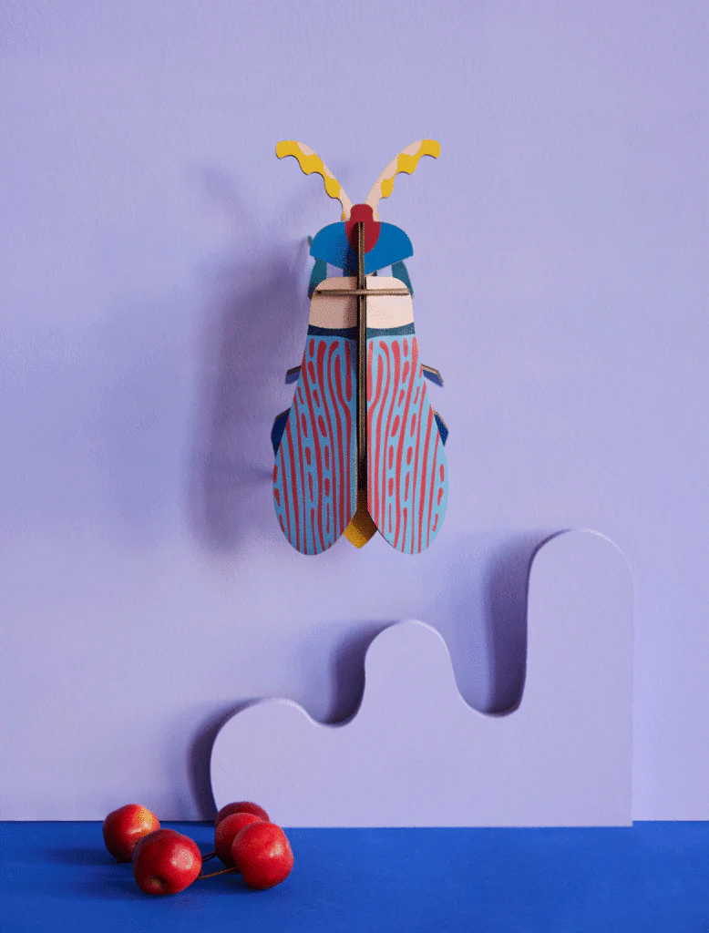Striped Wing Beetle - Image 2