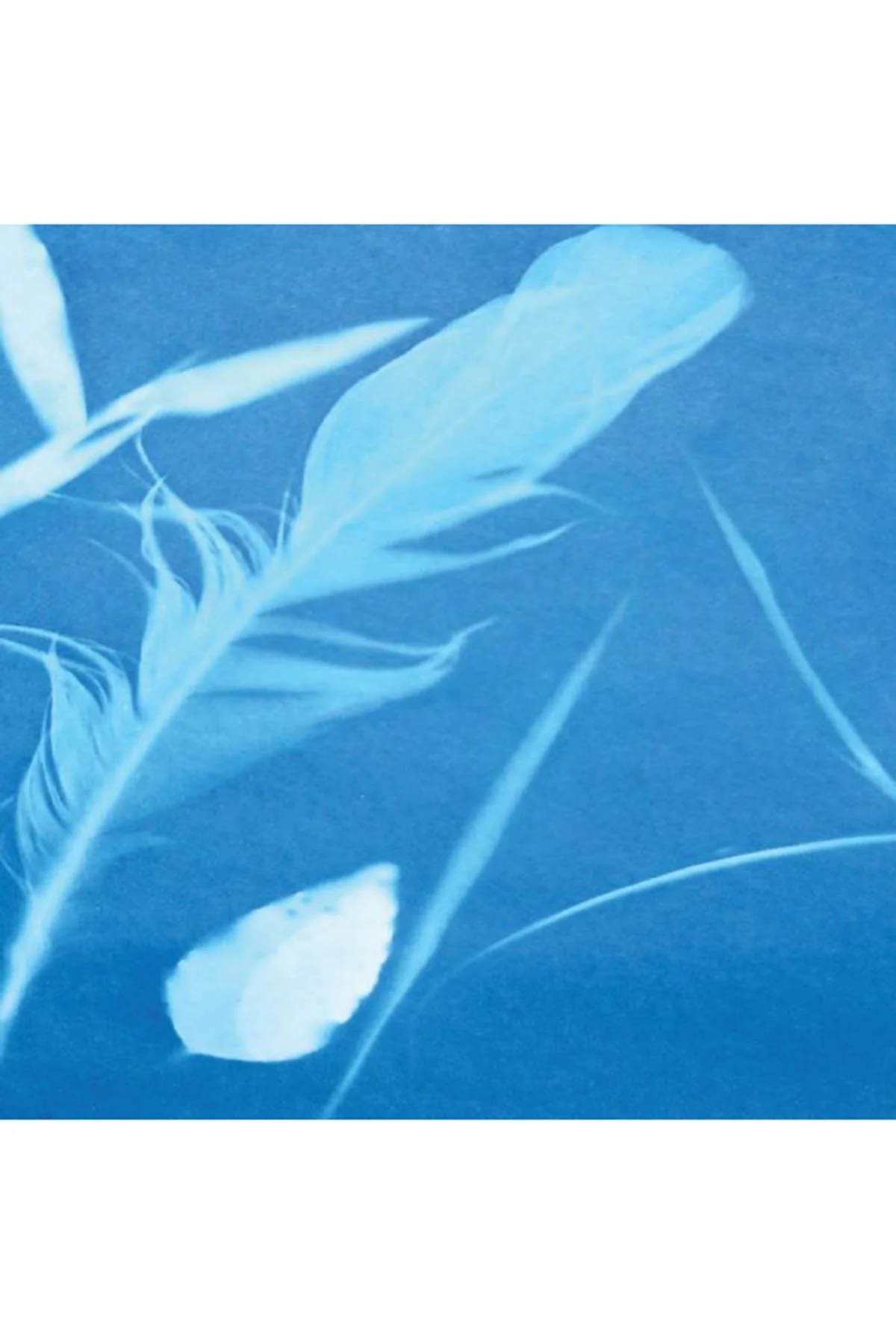 Sunprint Kit - Image 2