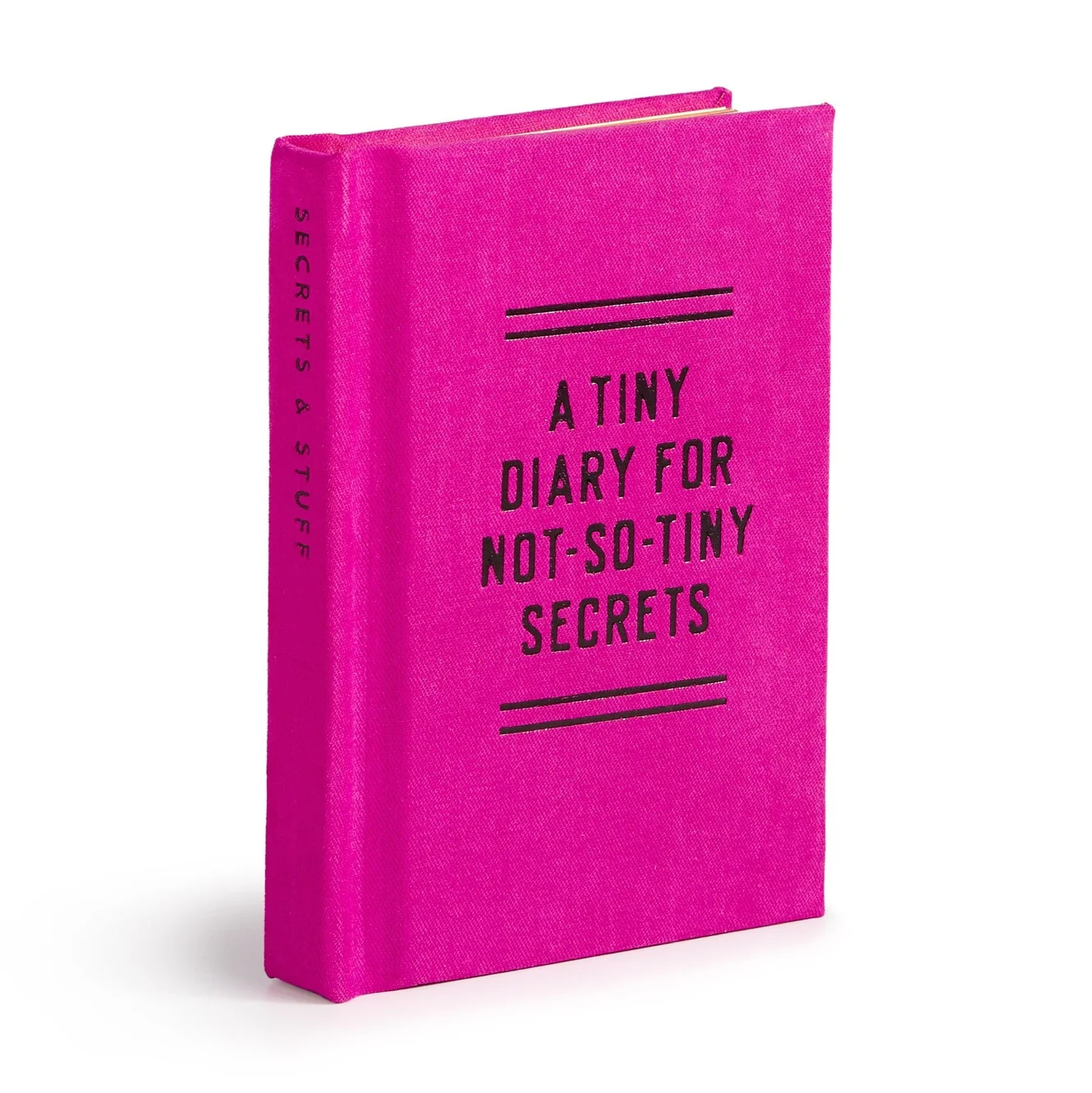 Tiny Diary for Not So Tiny Secrets - Image 2