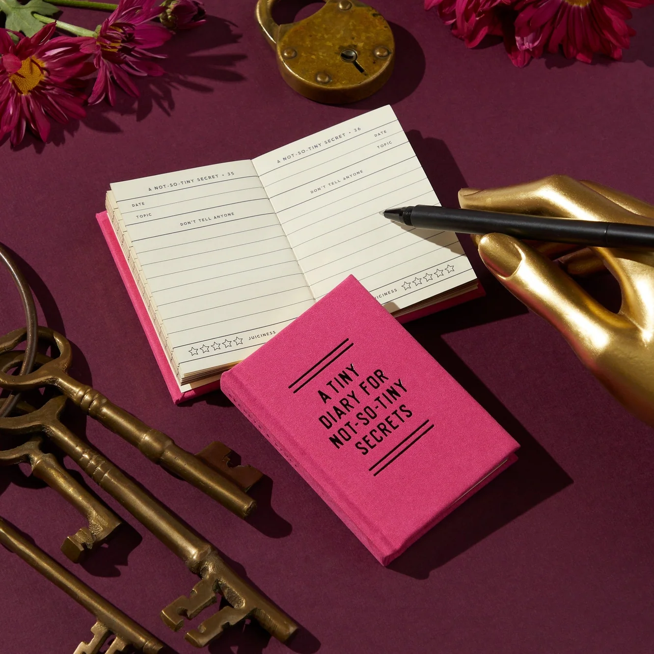 Tiny Diary for Not So Tiny Secrets - Image 4
