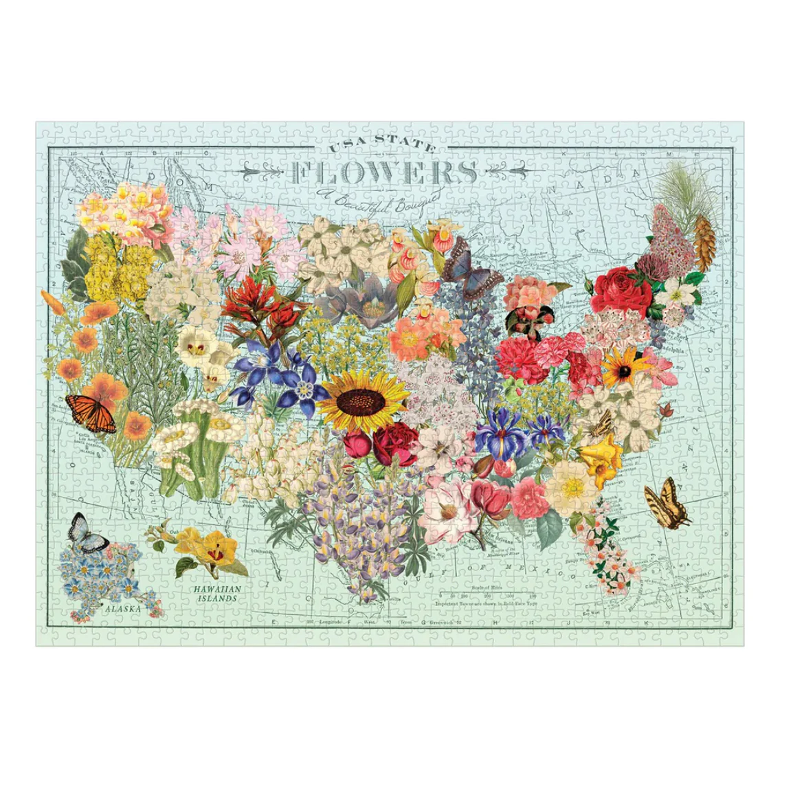 USA State Flowers Puzzle - Image 2