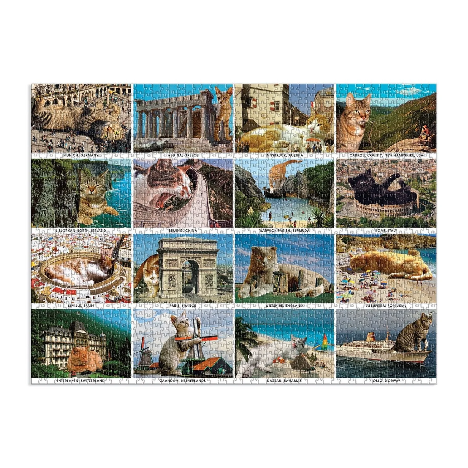 Vacation Cats Puzzle - Image 2