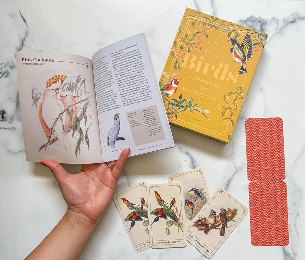 Vintage Birds Guidebook & Matching Game - Image 2