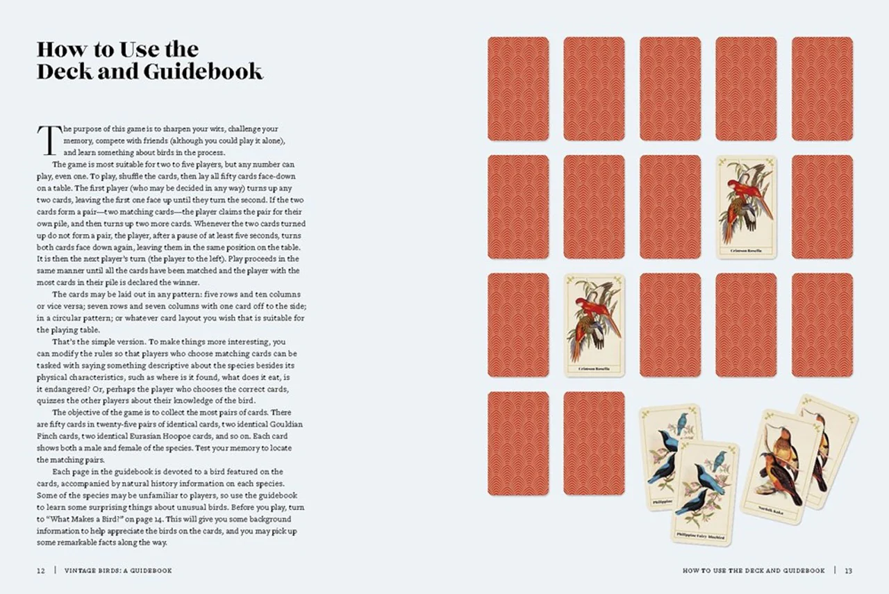 Vintage Birds Guidebook & Matching Game - Image 3