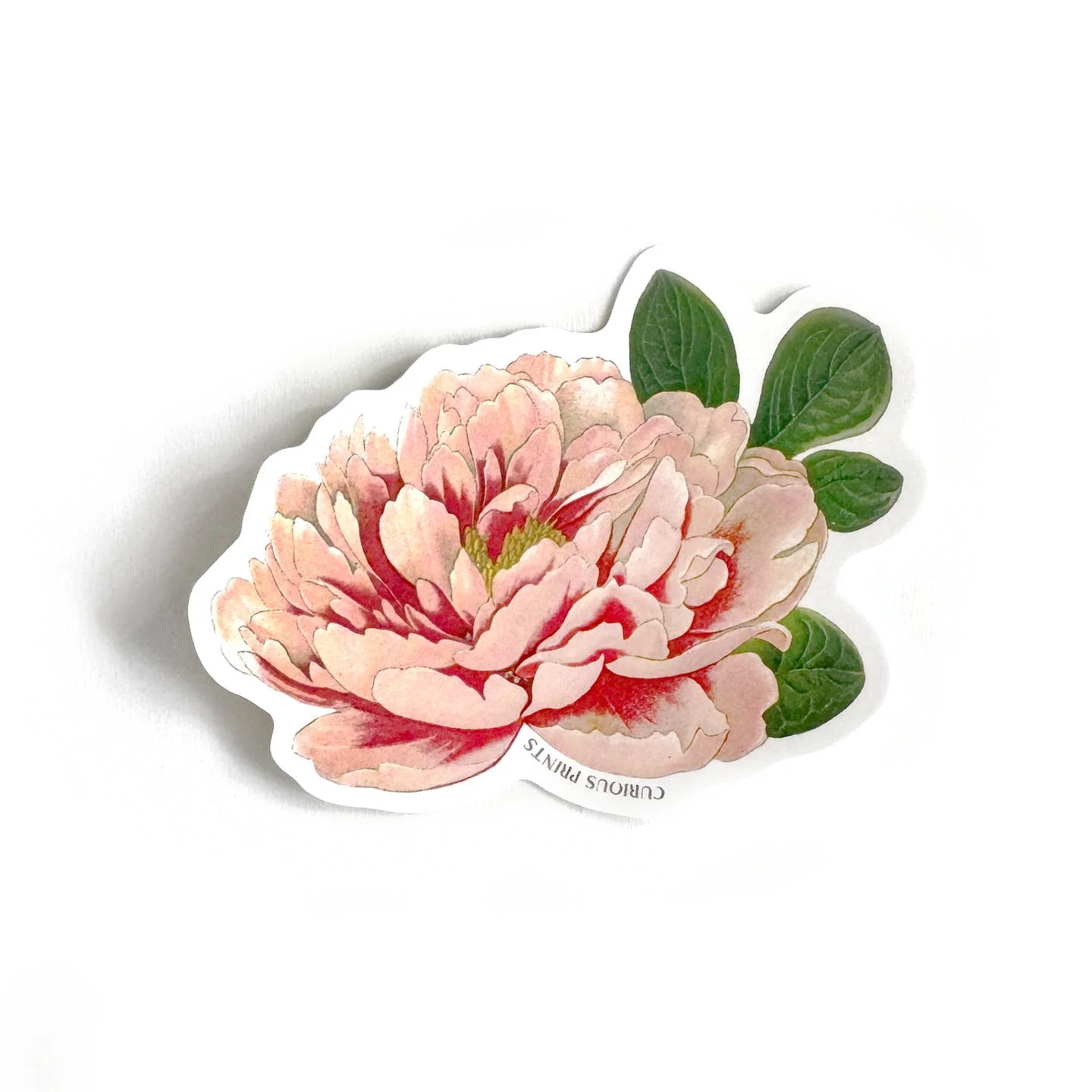 Vintage Peony Sticker