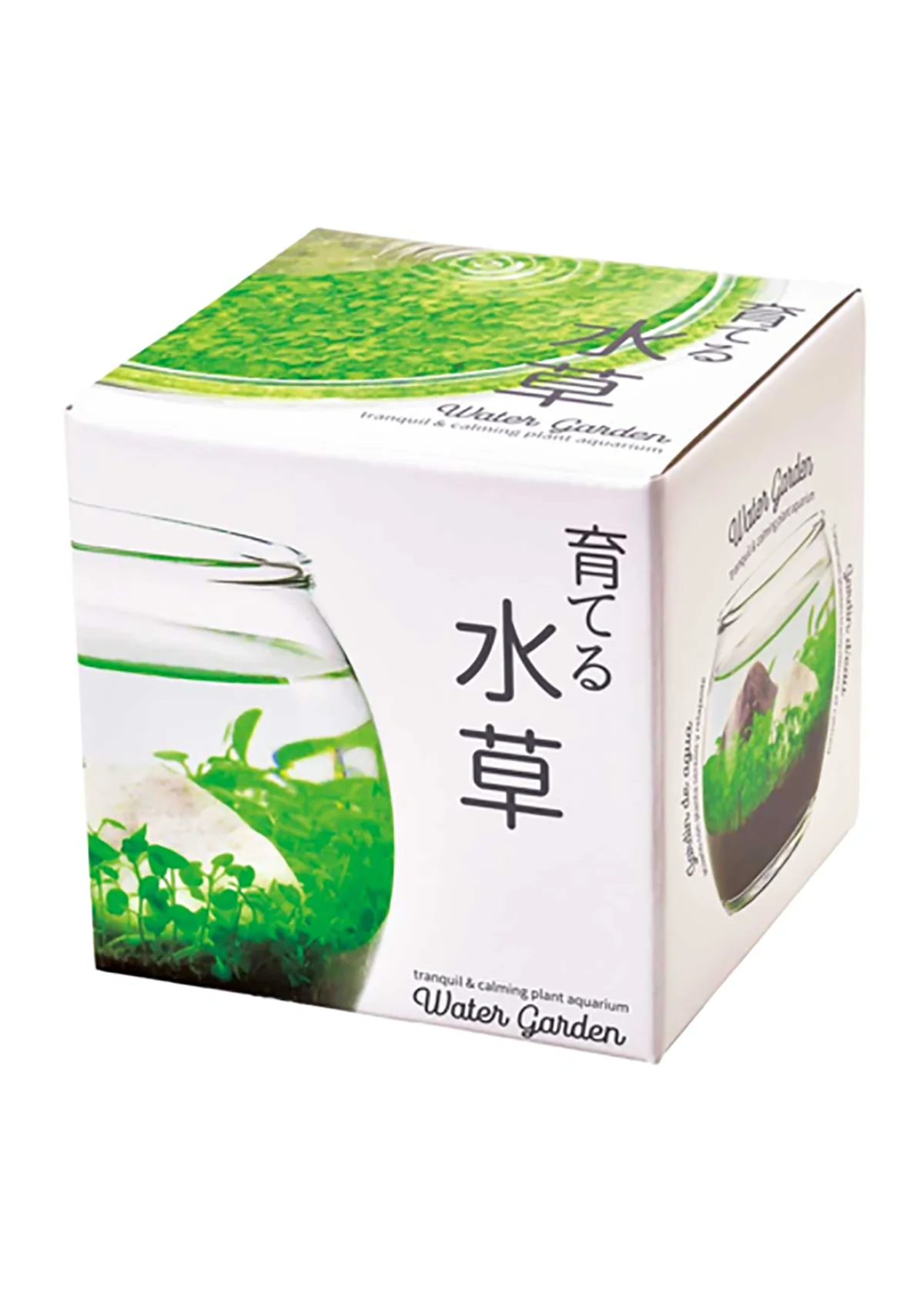 Water Garden - Image 2