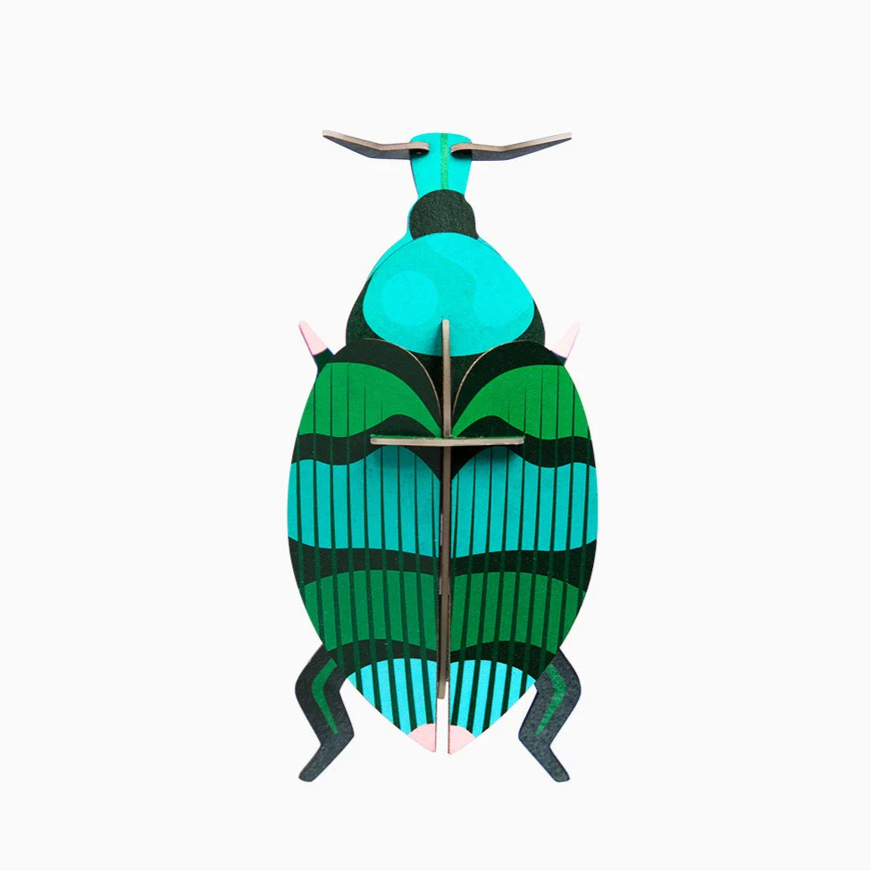 Weevil Beetle