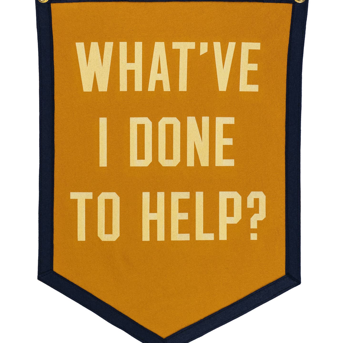 What I've Done To Help Camp Flag