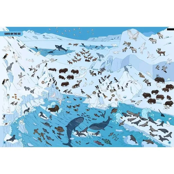 Where's Attenborough - Image 4
