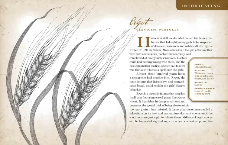 Wicked Plants - Image 3